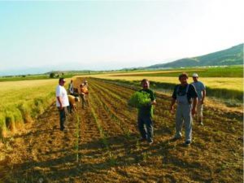 Πρόγραμμα εκπαίδευσης για νέους αγρότες