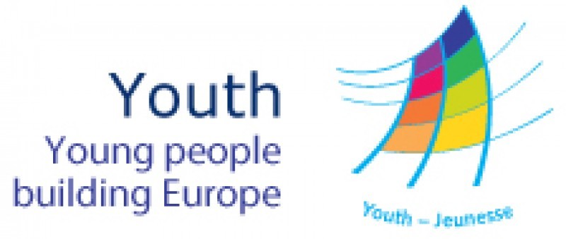 Call for participants for the Seminar "Local youth participation and access to social rights for young people: which ways forward?"‏
